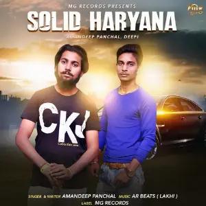 Solid Haryana image