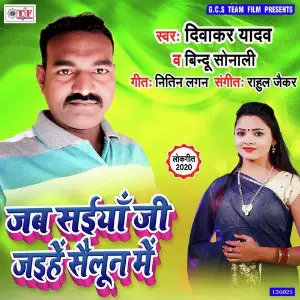 Jab Saiya Ji Jaihe Sailun Me image