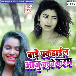 Bade Pakrail Aaju Chadhbe Karam image