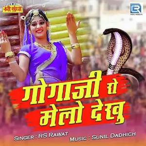 Gogaji Ro Melo Dekhu image