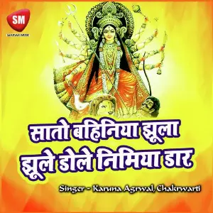 Sato Re Bahinya Jhula Jhule Dole Nimiya Daar image