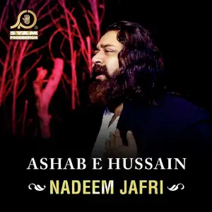 Ashab E Hussain image