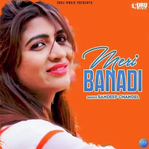 Meri Banadi - Single image