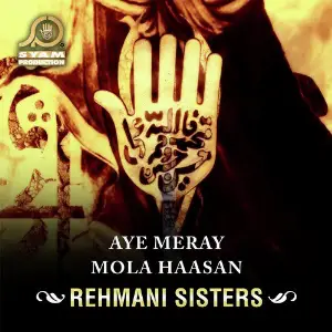 Aye Meray Mola Haasan image