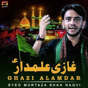 Ghazi Alamdar - Single image