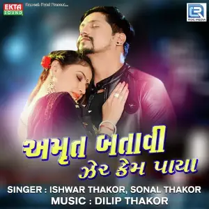 Amrut Batavi Zer Kem Paya image