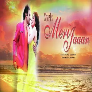 Shaels Meri Jaaan image