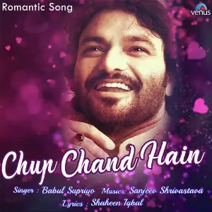 Chup Chand Hain image