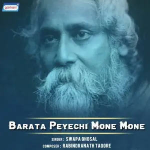 Barata Peyechi Mone Mone image