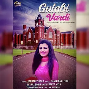 Gulabi Vardi image