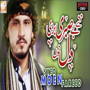 Hai Besabri Bari Dil Nou - Single image