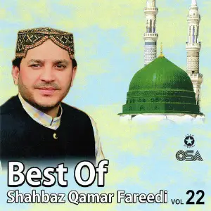 Best of Shahbaz Qamar Fareedi, Vol. 22 image