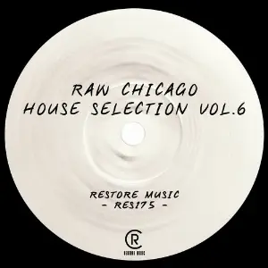 Raw Chicago House Selection, Vol. 6 image