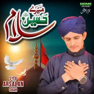 Mere Hussain Salam image