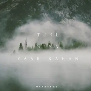 Tere Jaisa Yaar Kahan 