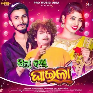 Sila Kola Ghaila image