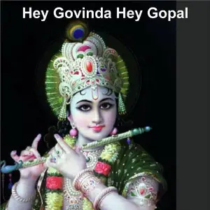 Hey Govinda Hey Gopal image