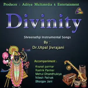 Divinity-Shreenathji Instrumental Songs image