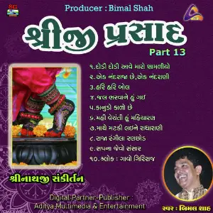 Shreeji Prasad-Shreenathji Sankirtan Pt.13 image