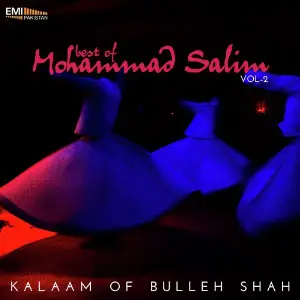 Best of Mohammad Salim, Vol. 2 image