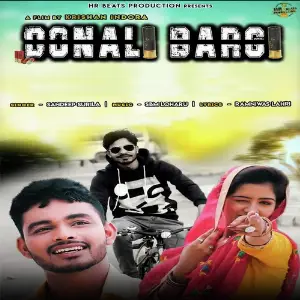 Donali Bargi image