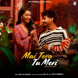 Main Tera Tu Meri image
