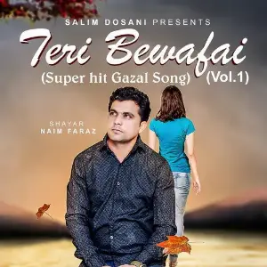 Teri Bewafai, Vol. 1 image