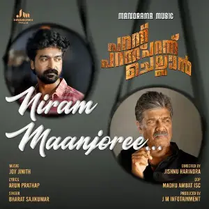 Niram Maanjoree (From Parannu Parannu Parannu Chellan) image