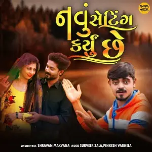 Navu Setting Karyu Chhe image