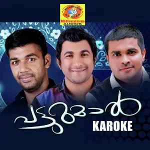 Patturumal Karoke (Karaoke Version) image
