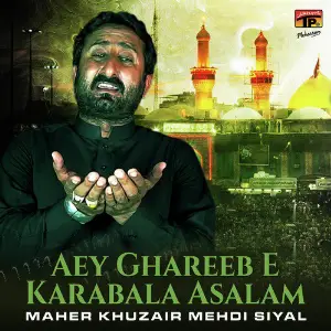 Aey Ghareeb E Karabala Asalam image