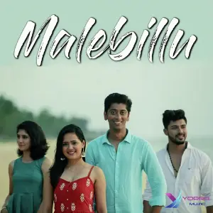 Malebillu image