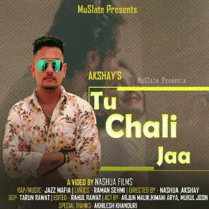 Tu Chali Jaa image