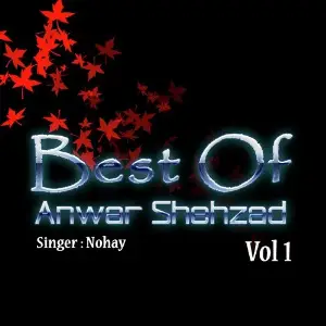 Best Of Anwar Shehzad Vol. 1 image