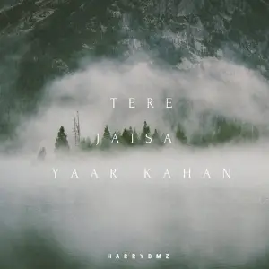Tere Jaisa Yaar Kahan harry bmz