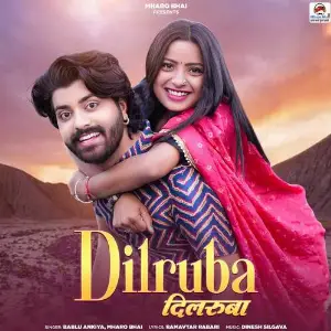 Dilruba image