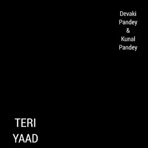 Teri Yaad image