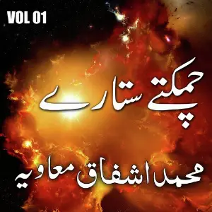 Muhammad Ashfaq Mawiya Chamakty Tary, Vol. 01 image