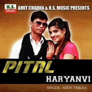 Pital Haryanvi image