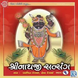 Shrinathji Satsang Part - 1 image