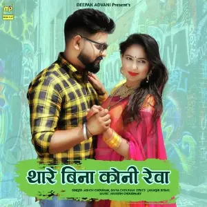 THARE BINA KONI REVA image