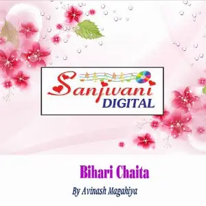 Bihari Chaita image