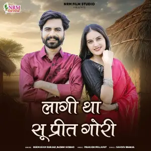 Lagi Tha Su Preet Gori image