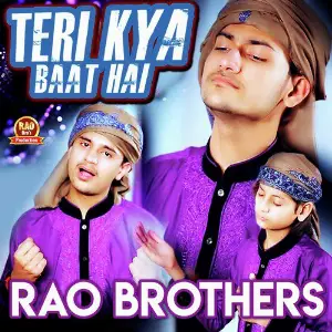 Teri Kya Baat Hai image