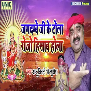 Jagdambe Ji Ke Tola Rojoisab Hola image