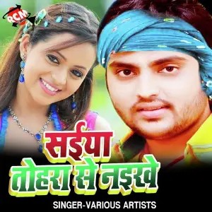 Saiya Tohra Se Naikhe image