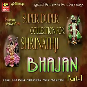 Super Duper Collection Shrinathji Bhajan Part - 1 image