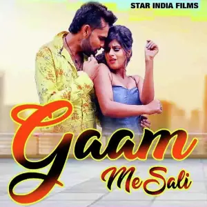 Gaam Me Sali image