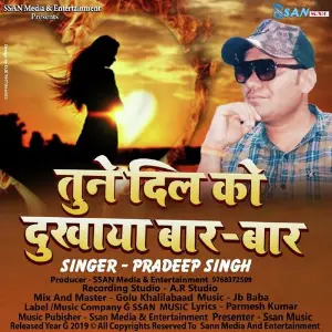 Tune Dil Ko Dukhaya Baar Baar Pradeep Singh
