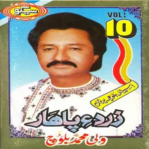 Zarday Pahar, Vol.10 image